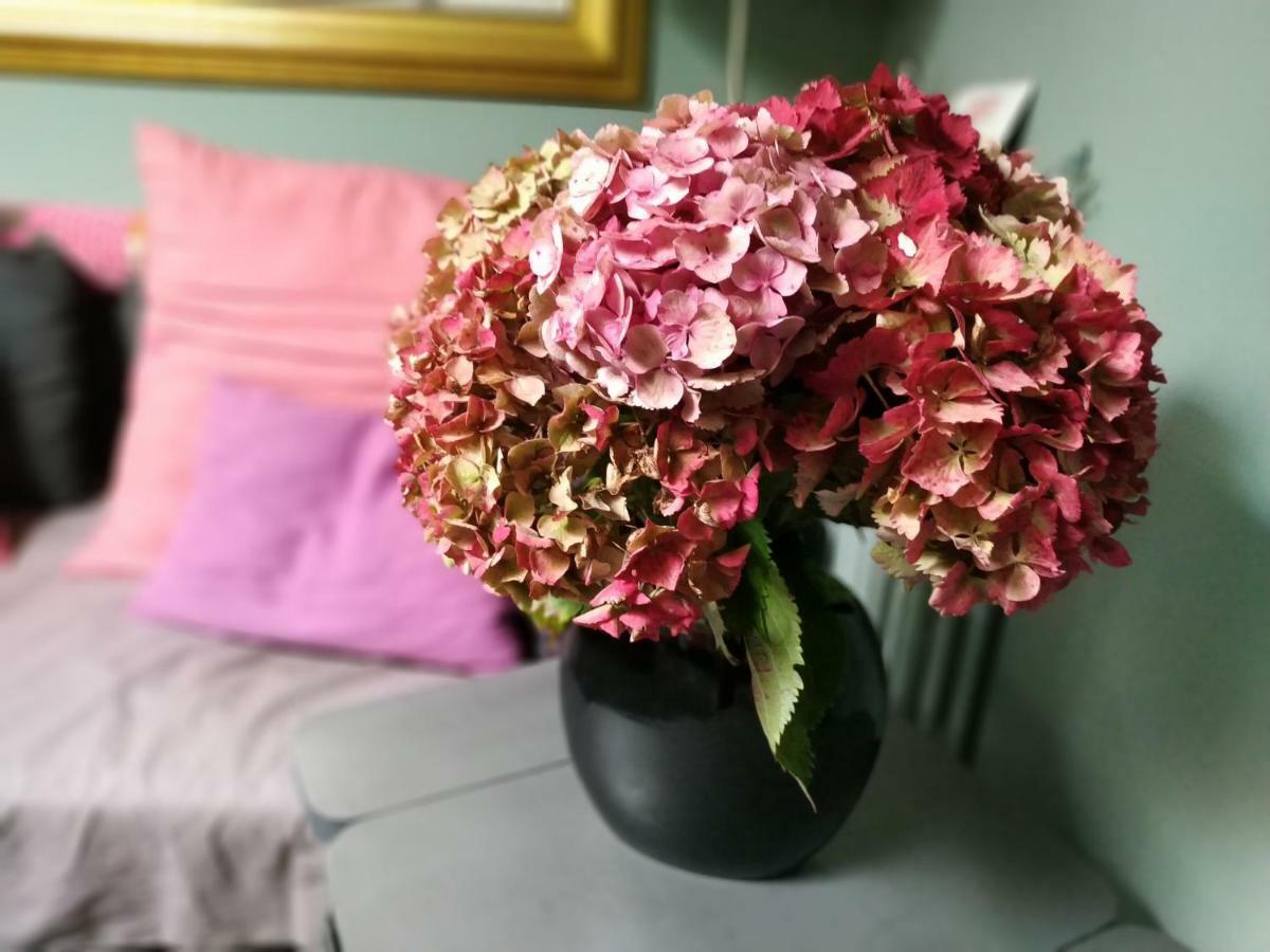 Chez Anne Apartment Fecamp Bagian luar foto